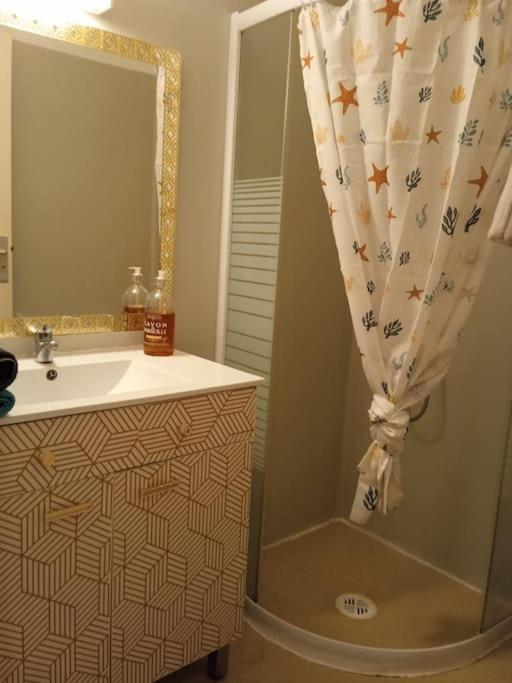 Le Briochin Apartment Saint-Brieuc Ngoại thất bức ảnh