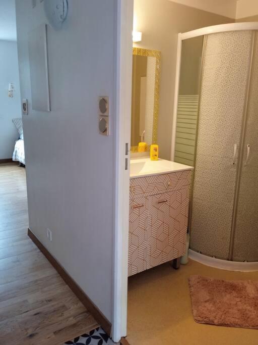 Le Briochin Apartment Saint-Brieuc Ngoại thất bức ảnh