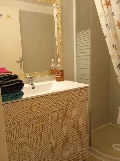 Le Briochin Apartment Saint-Brieuc Ngoại thất bức ảnh