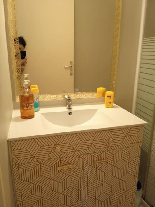 Le Briochin Apartment Saint-Brieuc Ngoại thất bức ảnh